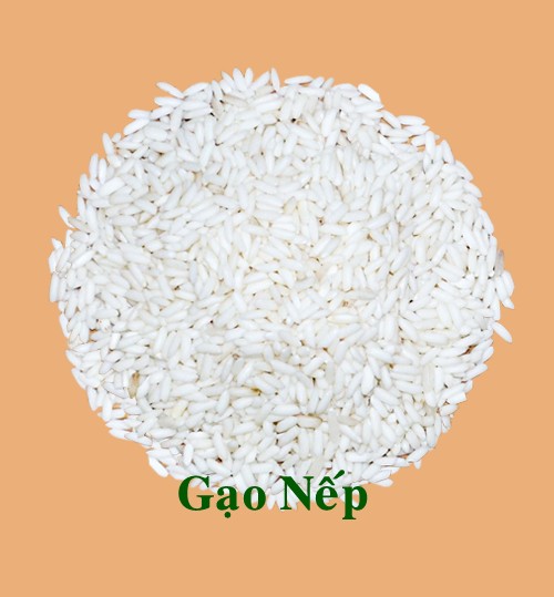 Glutinous Rice 10% Broken