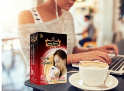 INSTANT COFFEE 2 IN 1 COFFEE & CREAMER