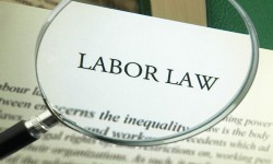 Labor, Employment and HR