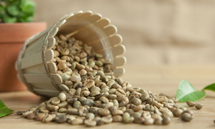 VIETNAM ROBUSTA COFFEE GRADE 1-18-2%