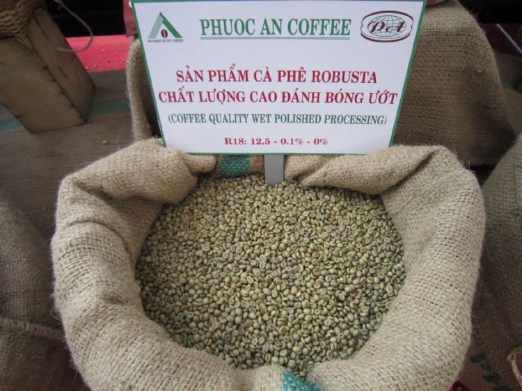 Vietnam Unwashed Robusta Coffee Grade 1 Screen 16 Wet Polished