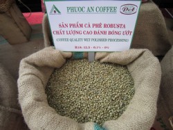 Vietnam Unwashed Robusta Coffee Grade 1 Screen 16 Wet Polished