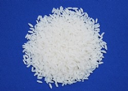 OM4900 rice