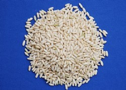 Glutinous brown rice