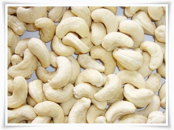 Cashew Nuts WW240