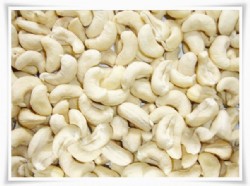 Cashew Nuts WW320