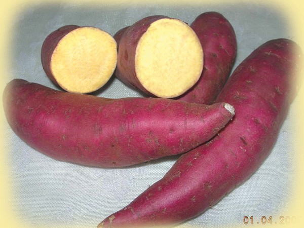 Sweet potatoes Beniazuma