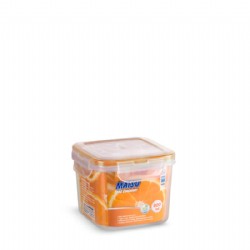 800ML FOOD CONTAINER