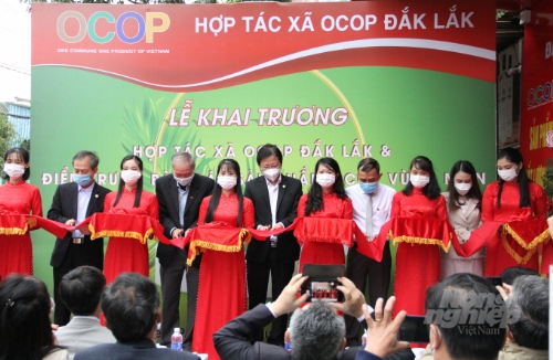 Opening the first OCOP product display shop in Dak Lak