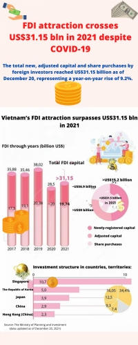 FDI attraction crosses US$31.15 bln in 2021 despite COVID-19