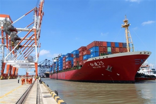 Ships, goods through Cai Mep-Thi Vai cluster up 2 pct in 2021