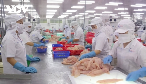 Pangasius exports likely to rake in US$2.6 billion this year