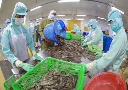 Aquatic exports spike 40% in H1