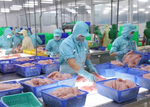 Tra fish exports to UK soar six-fold