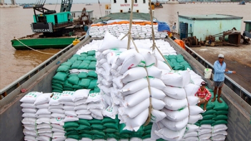 Bangladesh to purchase huge amount of rice from Vietnam