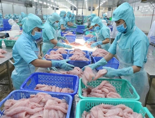 Việt Nam set to scrap COVID quarantine for imported processed seafood